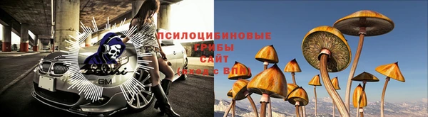 эйфоретик Аркадак