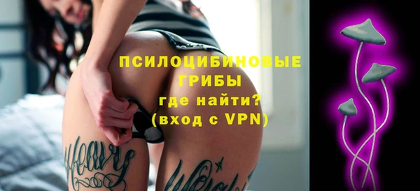 эйфоретик Аркадак