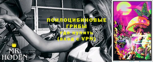 дмт Саяногорск