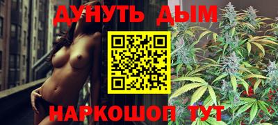сатива Будённовск