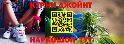 сатива Будённовск