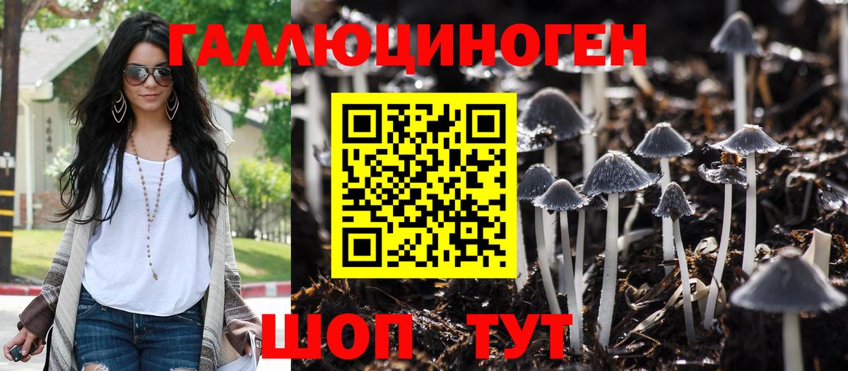 Псилоцибиновые грибы Cubensis Саянск